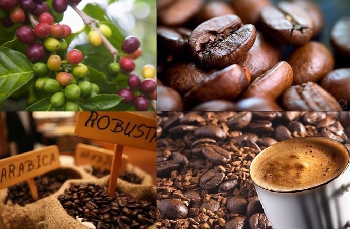 Tiềm năng xuất khẩu cà phê sang thị trường Bắc Phi
