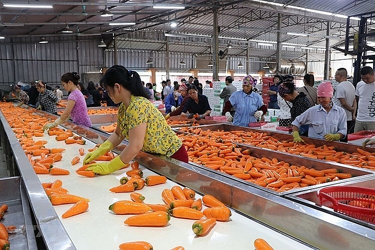 Thực thi EVFTA: Ngành nông nghiệp đã sẵn sàng