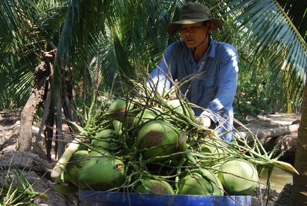 Cấp bảo hộ chỉ dẫn địa lý: Thúc đẩy sở hữu trí tuệ địa phương