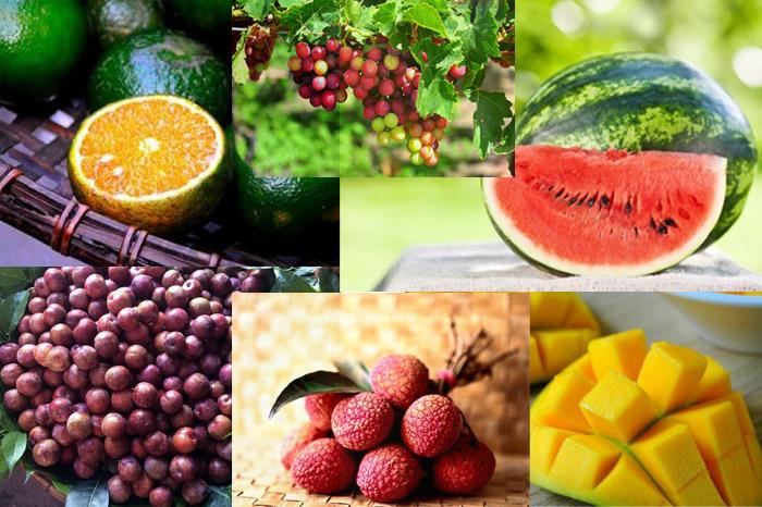 Thư mời tham dự Hội nghị giao thương trực tuyến sản phẩm hoa quả Việt Nam – Trung Quốc (Thượng Hải)