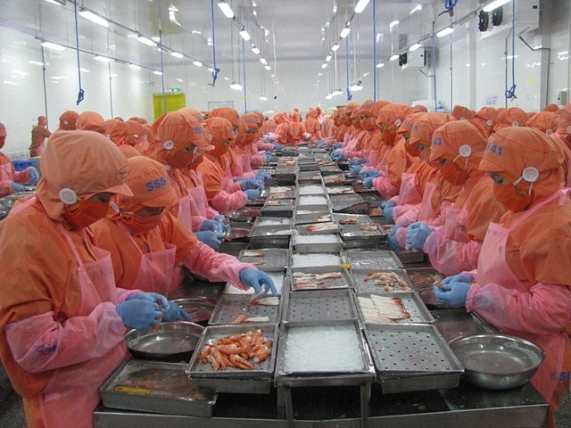 “Trái ngọt” bước đầu từ EVFTA