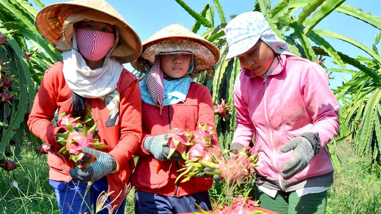 Nông sản Việt đứng trước cơ hội xúc tiến thương mại xuyên biên giới