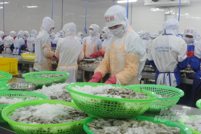 Xuất khẩu tôm sang Hàn Quốc sẽ tăng trưởng trong quý 4