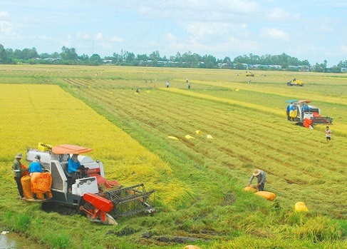 Phê duyệt kế hoạch cơ cấu lại ngành nông nghiệp giai đoạn 2021 - 2025