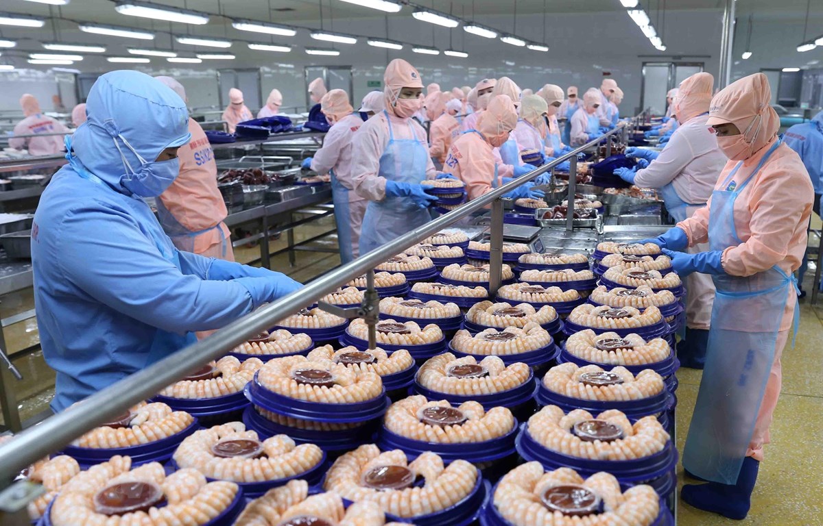Tôm Việt Nam tăng thị phần tại Hoa Kỳ và EU