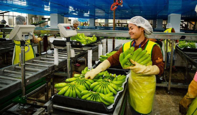 Campuchia xuất khẩu nông sản tăng 87%, riêng gạo giảm