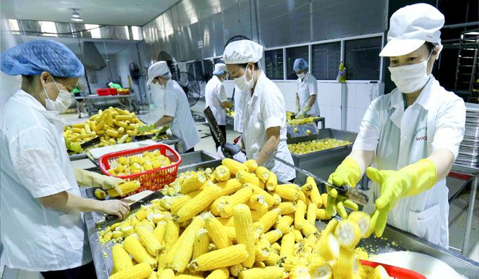 Nông lâm sản tăng mạnh xuất khẩu sau một năm EVFTA có hiệu lực