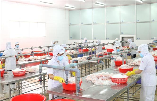 Duy trì sản xuất giữa tâm dịch - Bài cuối: Cần giải pháp hỗ trợ nhanh, hiệu quả hơn