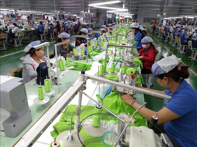 Nền kinh tế Việt Nam sẽ chiến thắng đại dịch COVID-19 như thế nào?