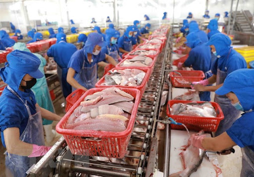 Một số quy định nhập khẩu thủy sản của EU