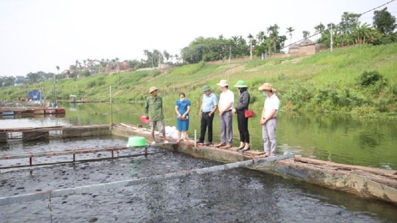Hà Nội: Gỡ khó cho ngành thủy sản mùa dịch Covid-19
