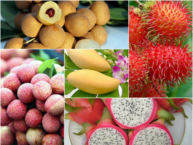 Các bước cơ bản để đưa 1 loại quả tươi của Việt Nam vào Nhật Bản