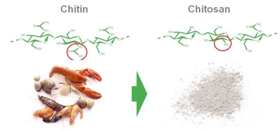 EU phê duyệt sử dụng hoạt chất Chitosan trong bảo quản sau thu hoạch